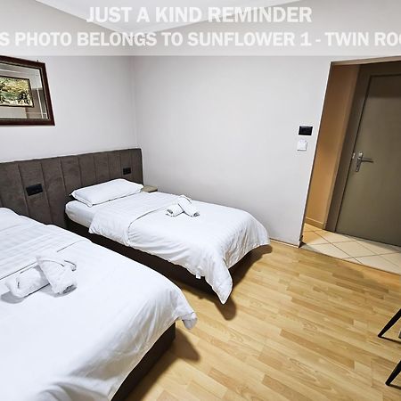 Sunflower Rooms 地拉那 外观 照片