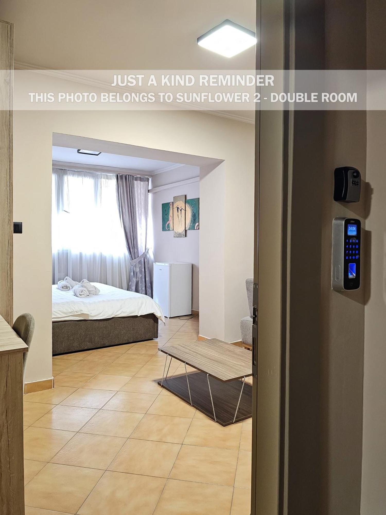 Sunflower Rooms 地拉那 外观 照片