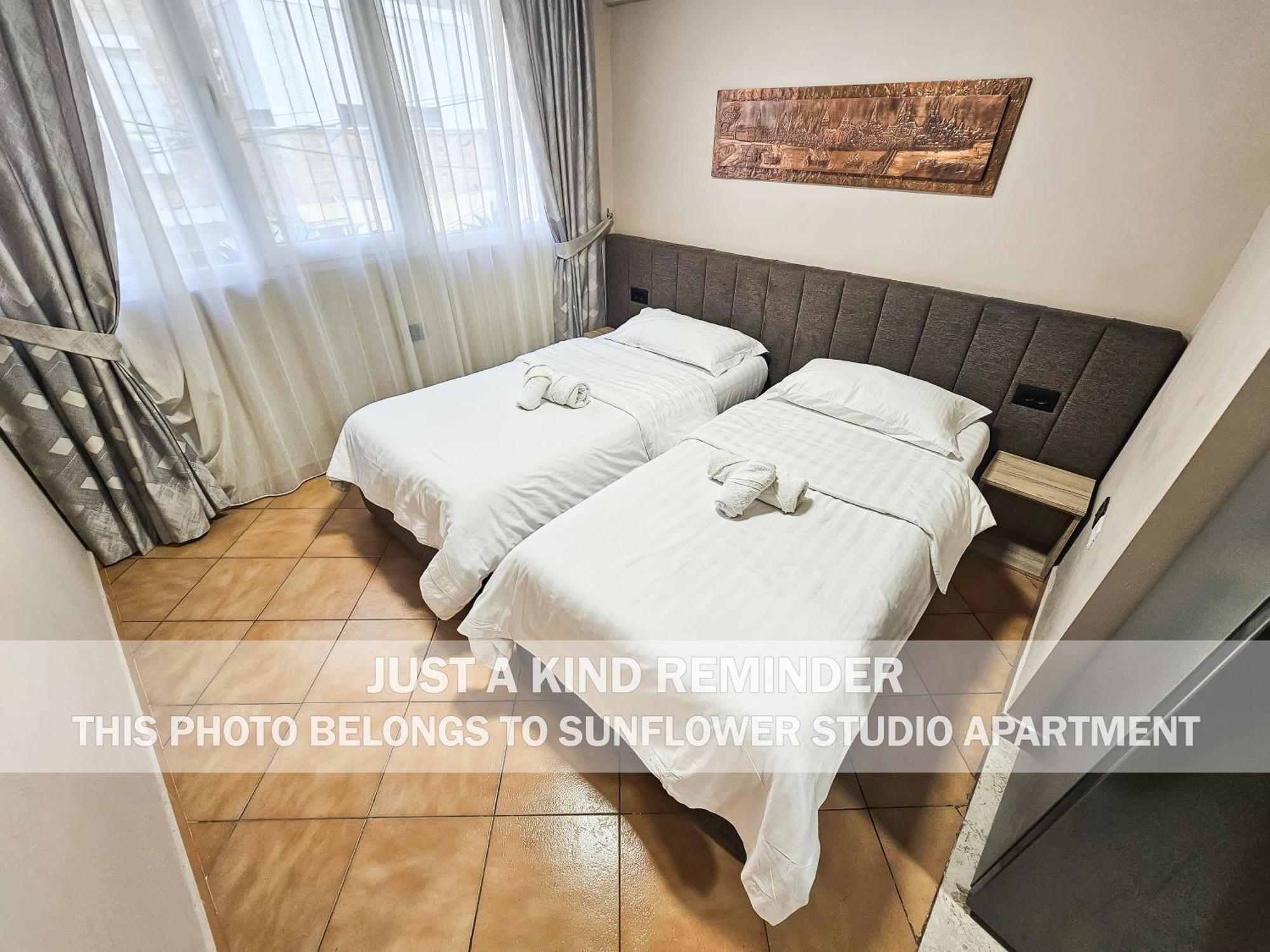 Sunflower Rooms 地拉那 外观 照片