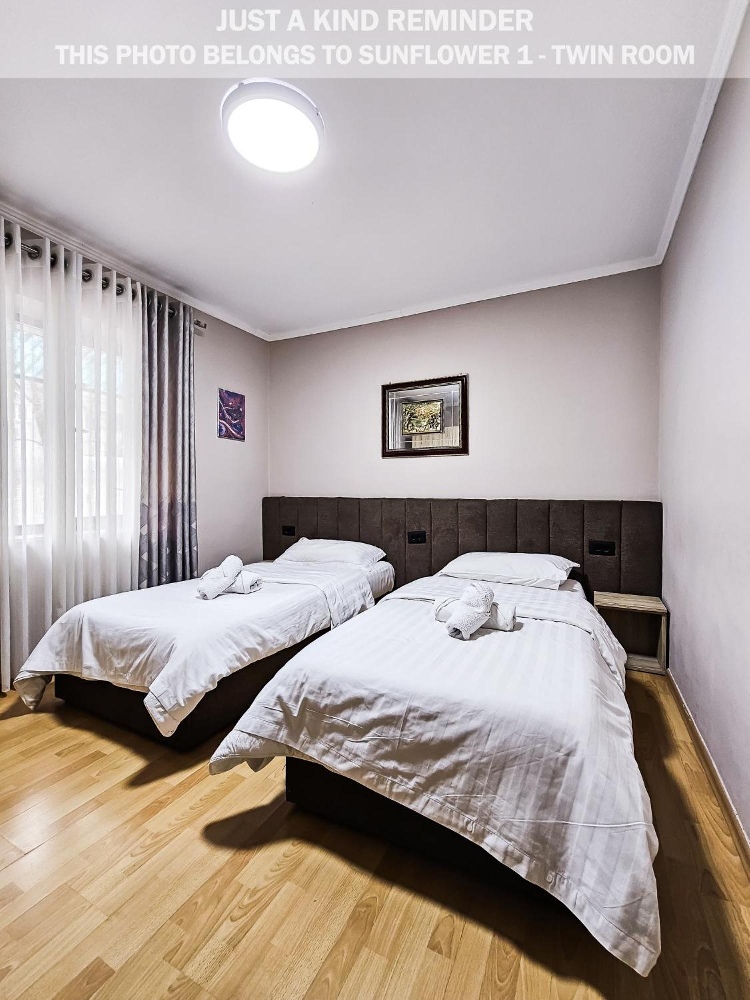 Sunflower Rooms 地拉那 外观 照片